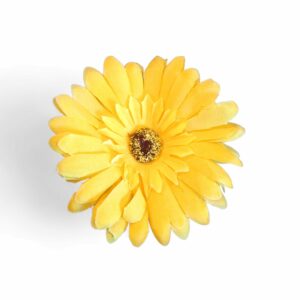 Gerbra bloem geel