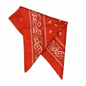 Boerenzakdoek paisley wit