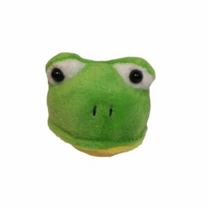 Oeteldonk kikkerkop speltje