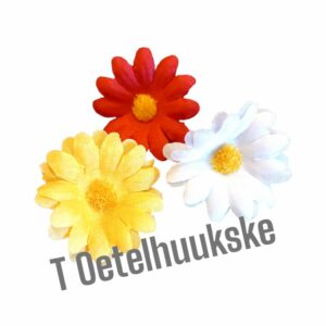 Oeteldonkse margrietjes 3 stuks