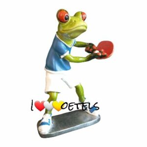 kikker die tafeltennis speelt