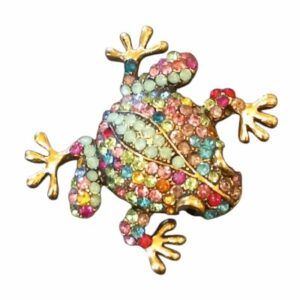 Kikker broche multicolour groot