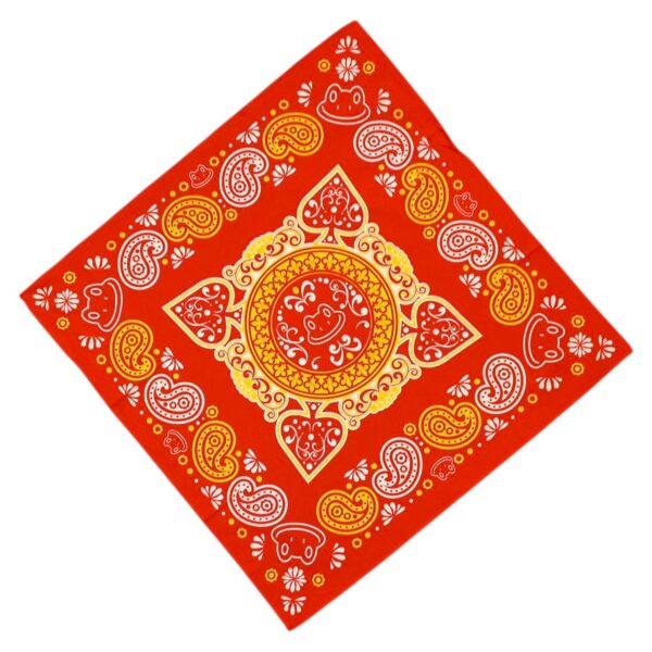 Oeteldonkse boeren zakdoek/ bandana rood